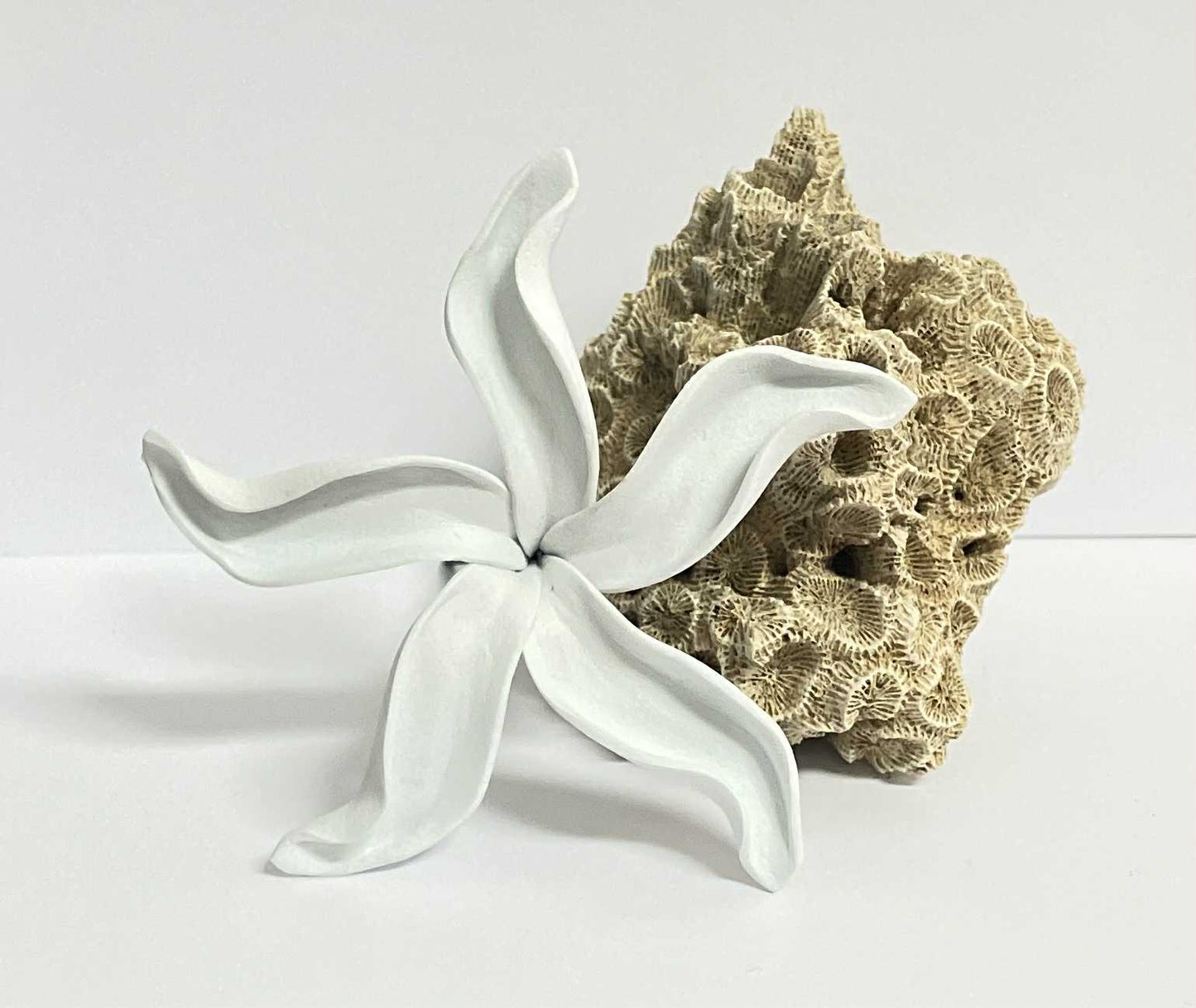 White Flower Sei