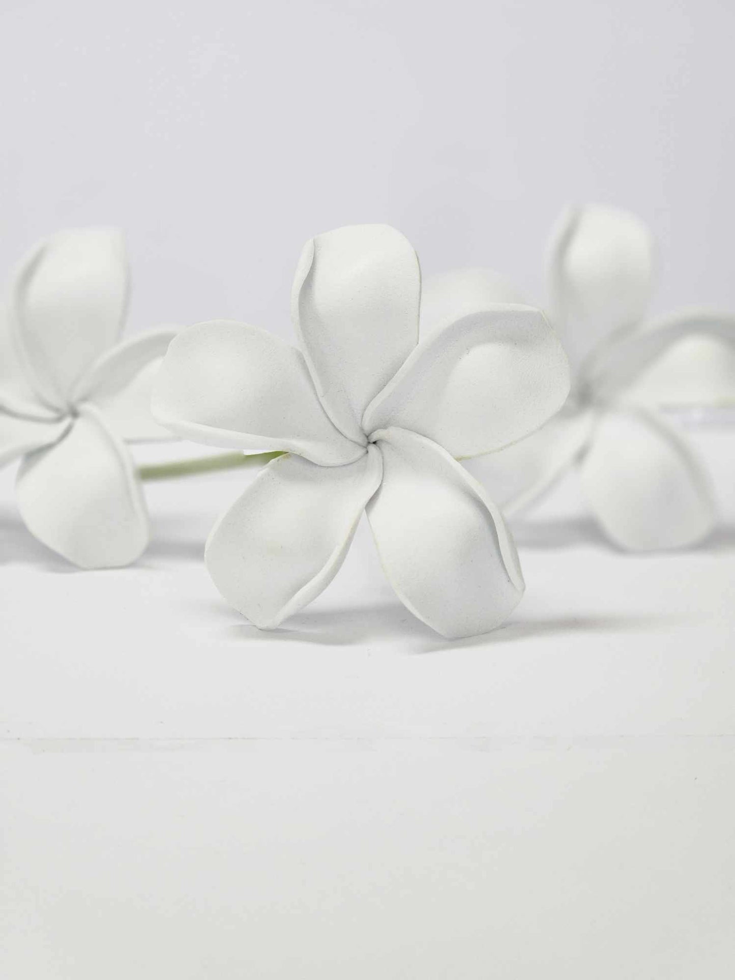 Plain White Frangipani Sei