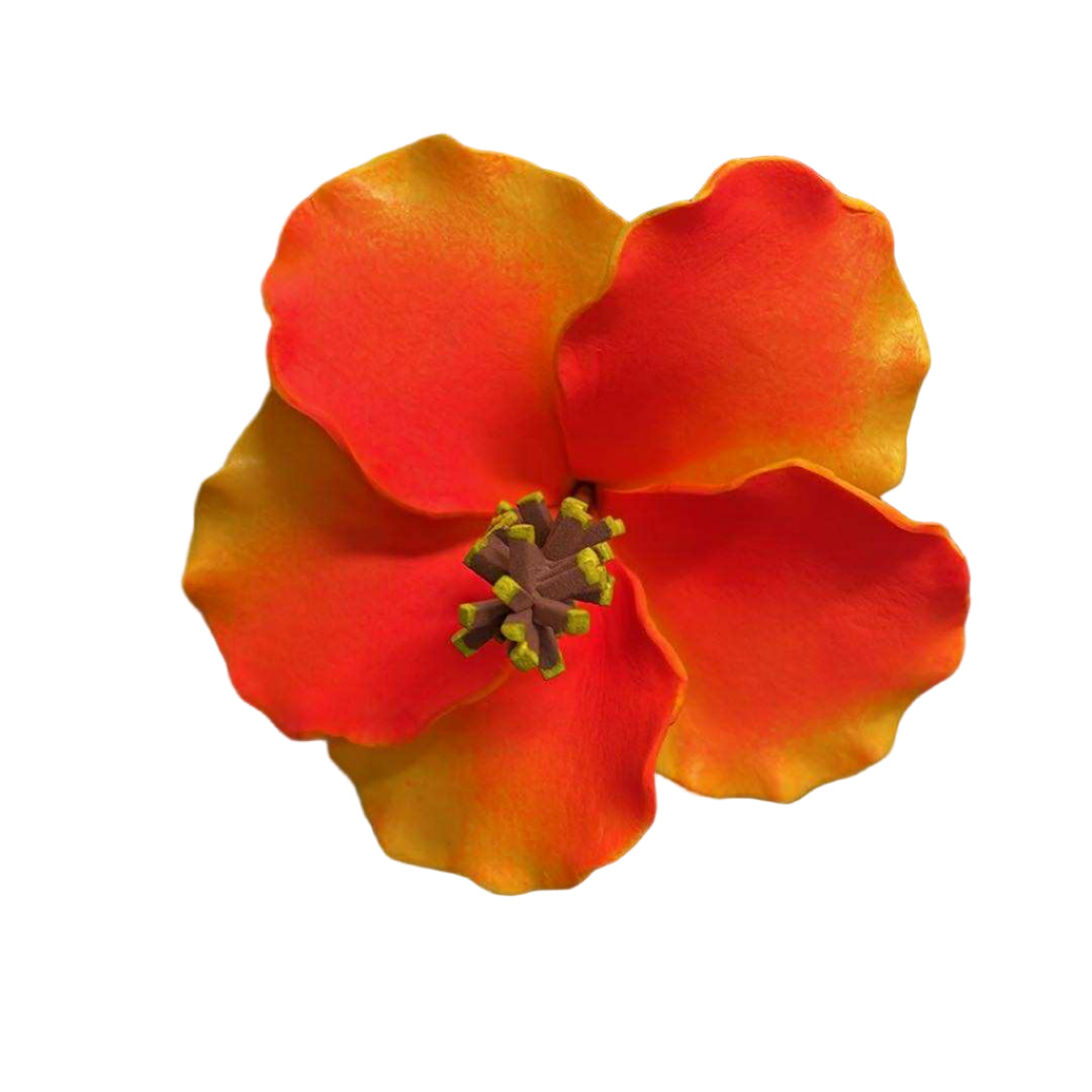 Hibiscus Sei - Orange & Yellow