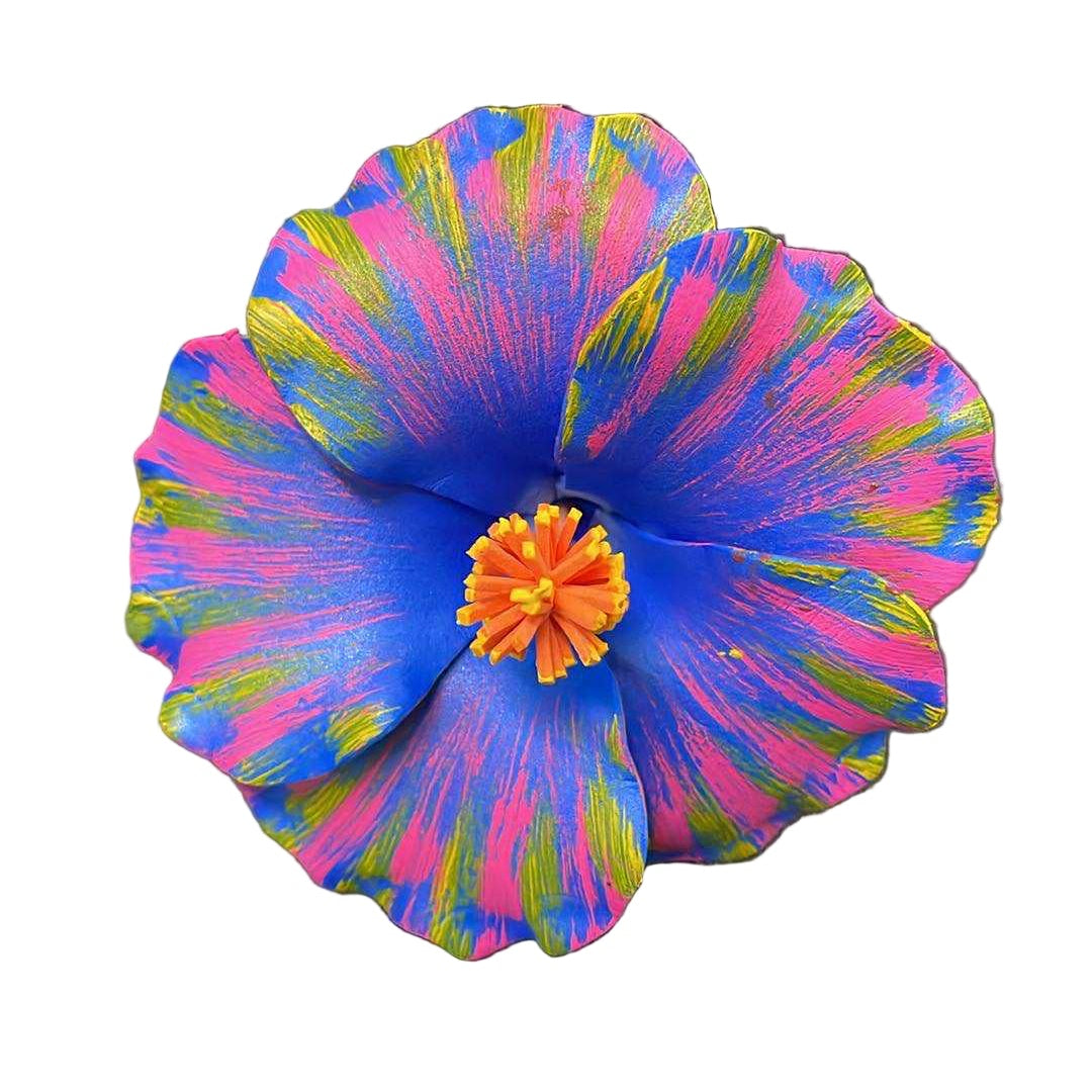 Hibiscus Sei - Blue & Pink