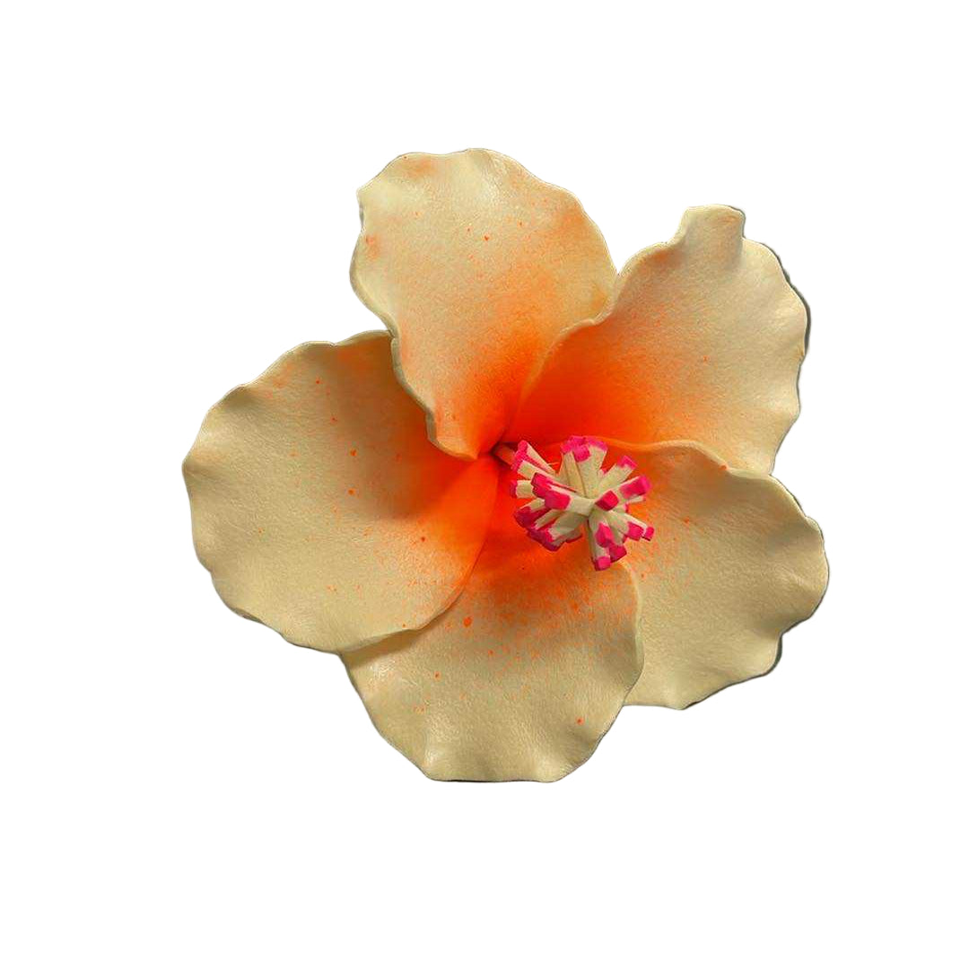 Hibiscus Sei - Beige & Orange
