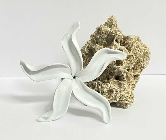 White Flower Sei