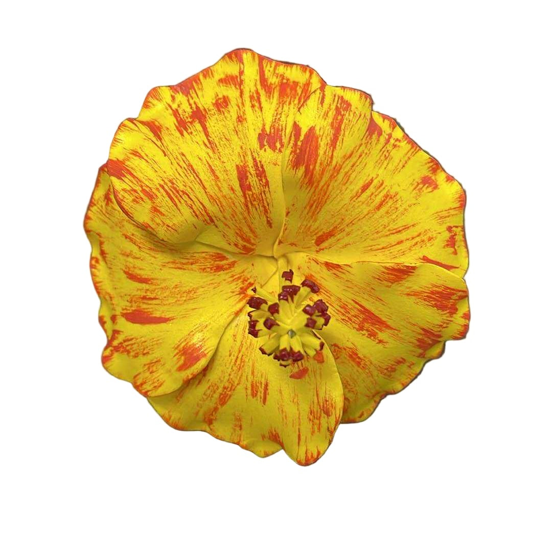 Hibiscus Sei - Yellow & Orange