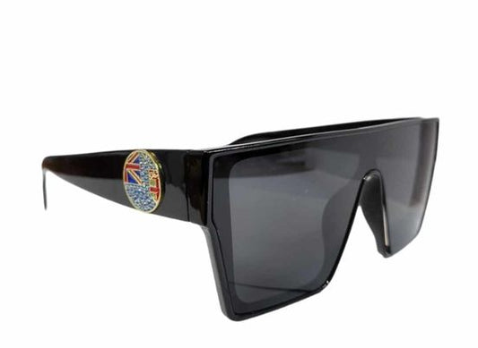 FIJI FLAG SUNGLASSES