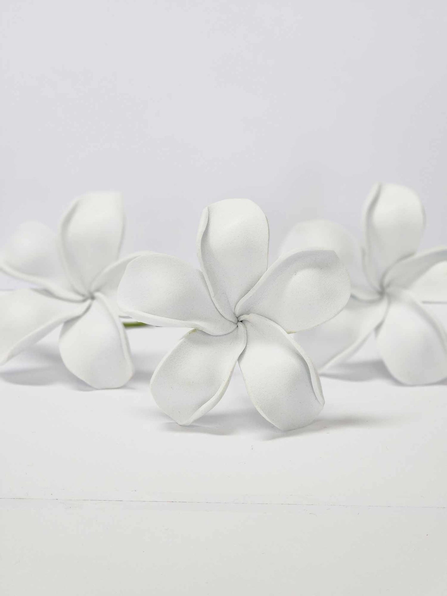 Plain White Frangipani Sei