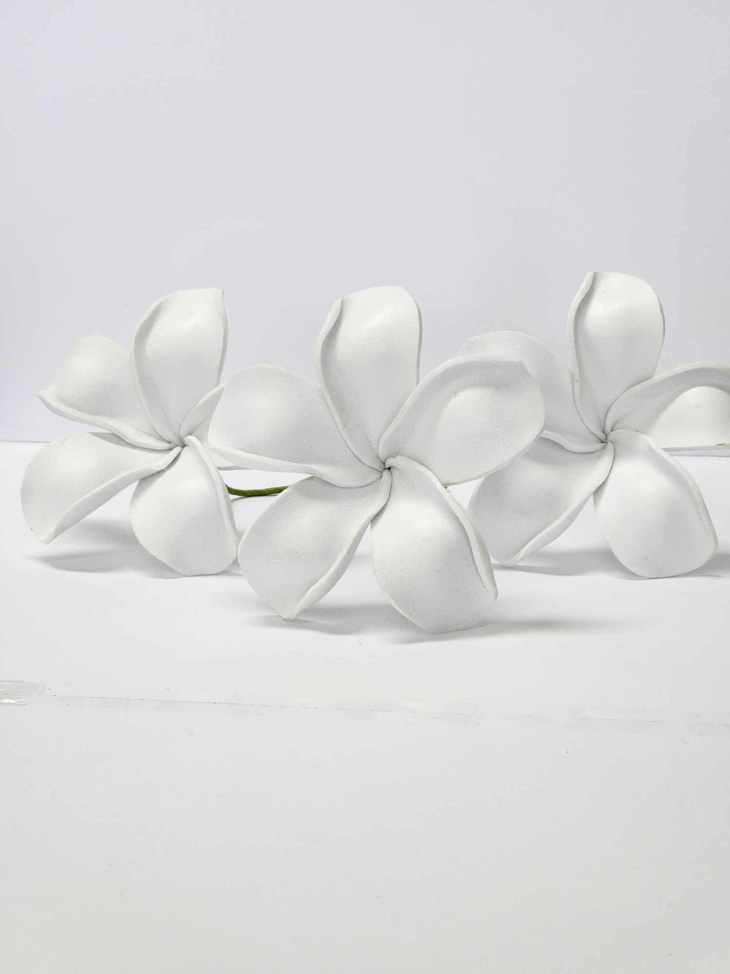 Plain White Frangipani Sei