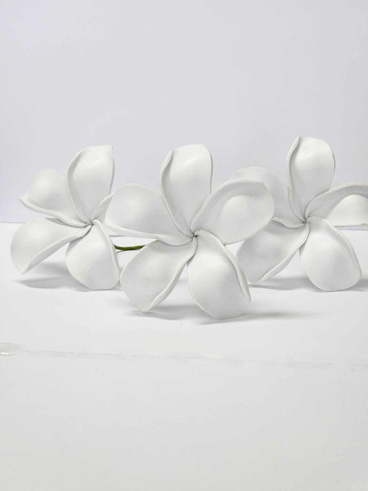 Plain White Frangipani Sei