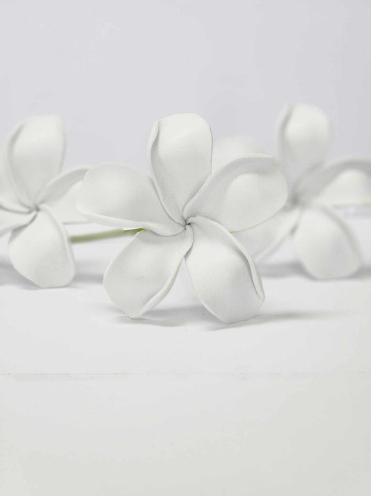 Plain White Frangipani Sei