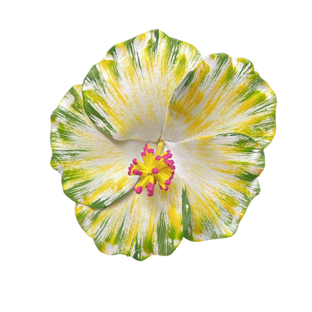 Hibiscus Sei - Green & Yellow