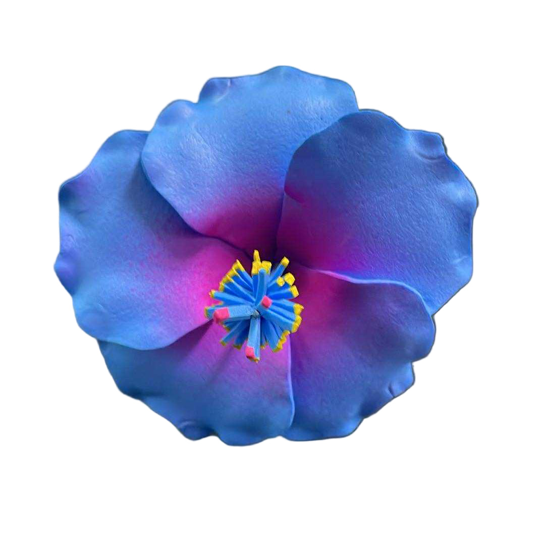 Hibiscus Sei - Blue & Pink