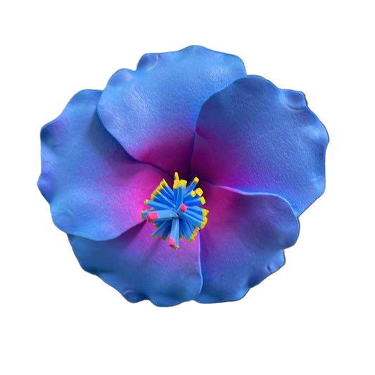 Hibiscus Sei - Blue & Pink