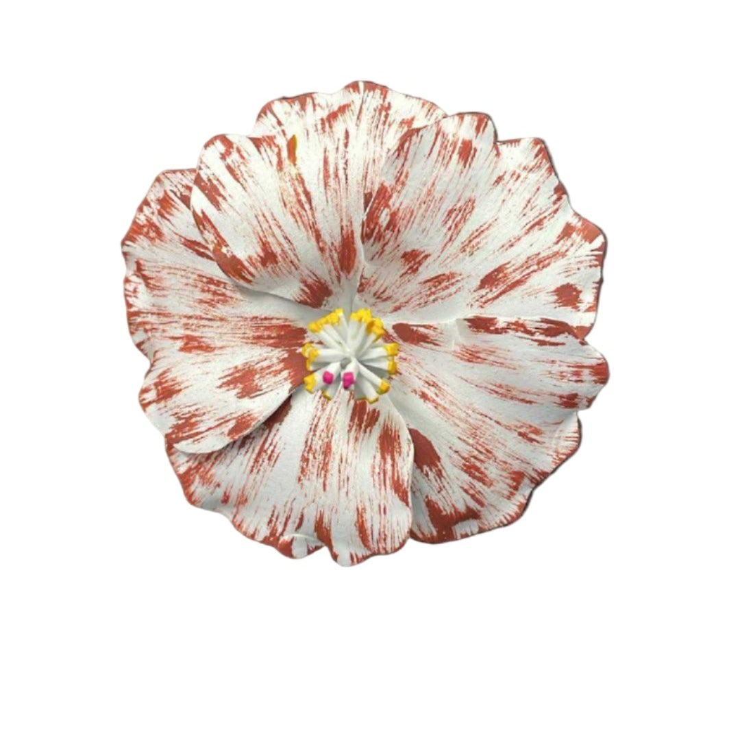 Hibiscus Sei - White & Brown