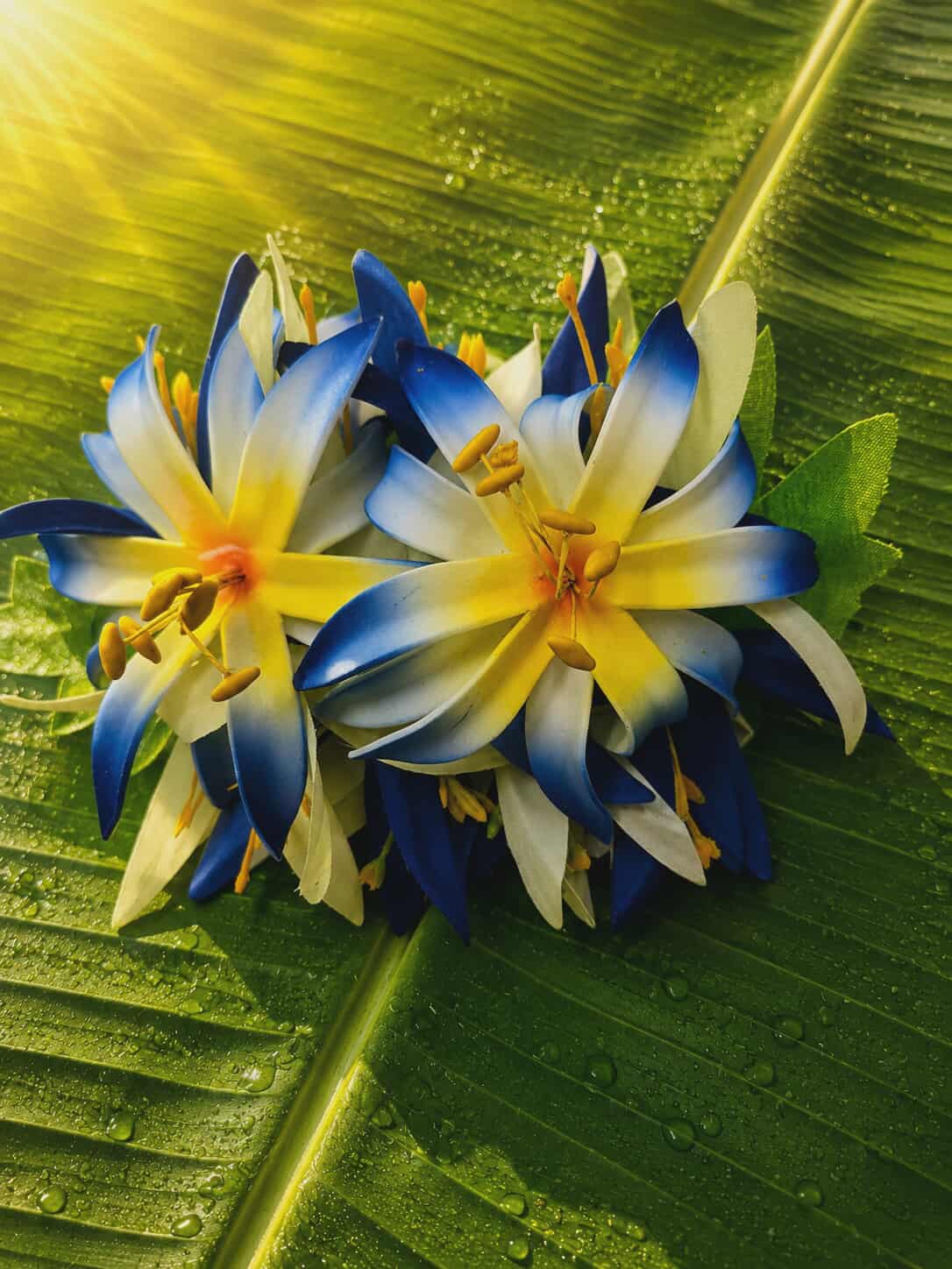 Island Sunrise Hari Flower Hair Clip