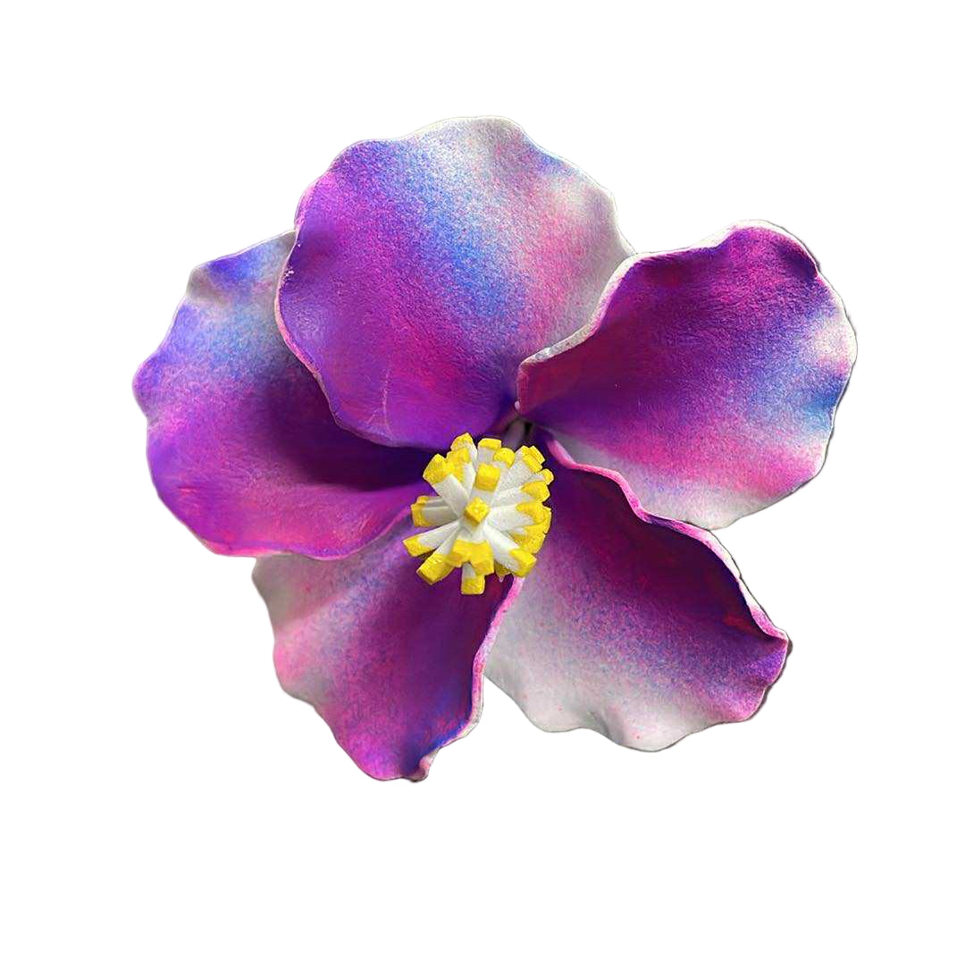 Hibiscus Sei - Purple