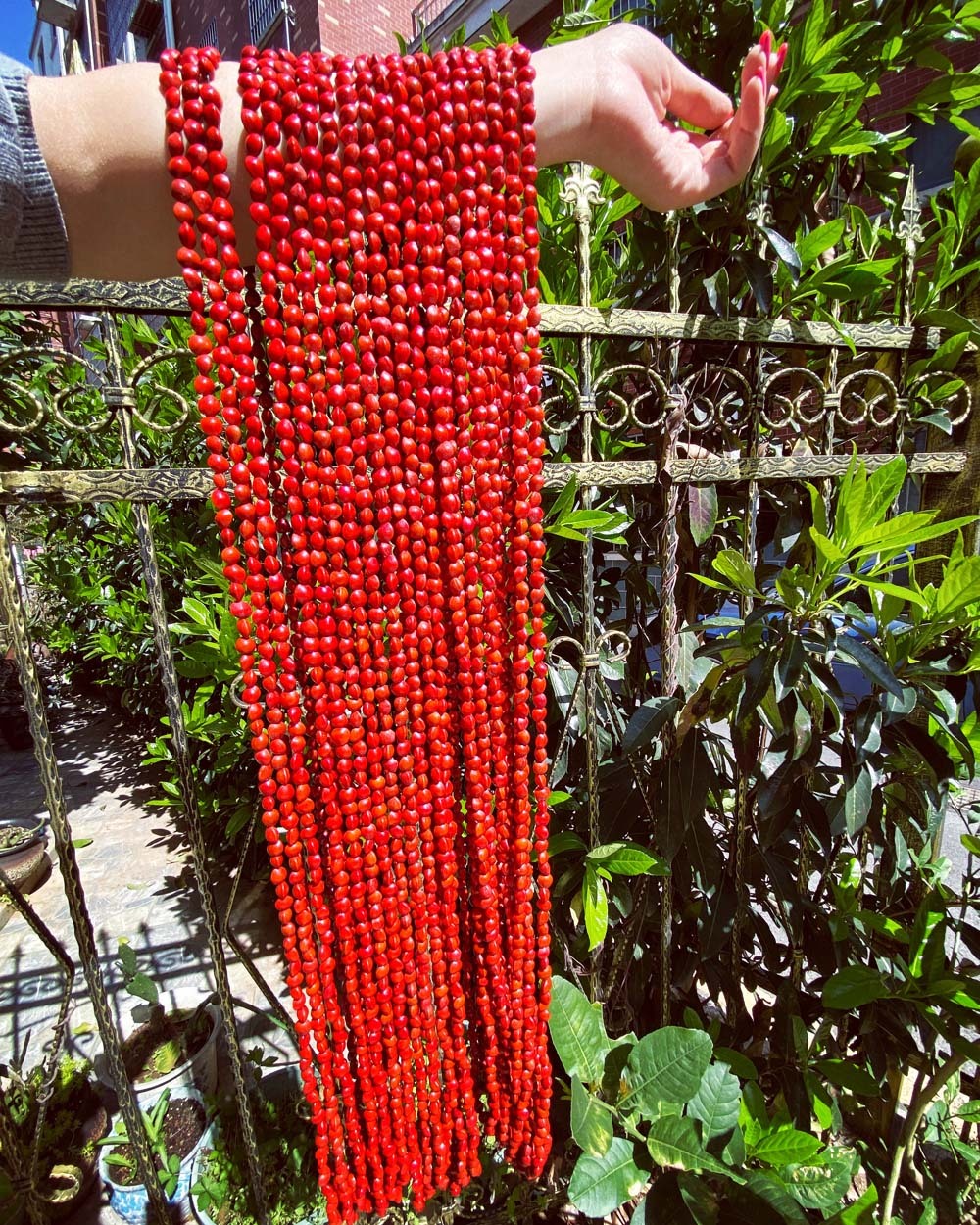 WOMEN'S RED ULA LOPA STRAND NECKLACE