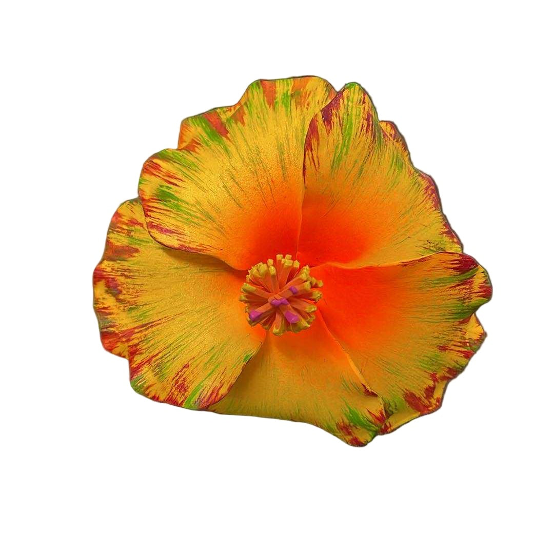 Hibiscus Sei - Yellow Orange