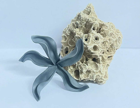 Grey Flower Sei