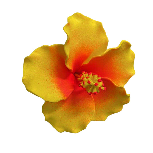 Hibiscus Sei - Yellow & Orange