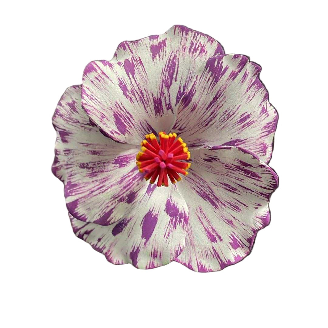 Hibiscus Sei - White & Purple