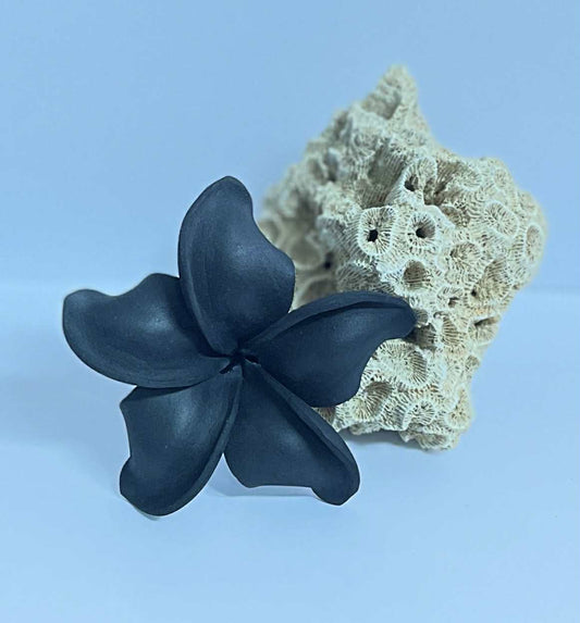 Black Frangipani Sei